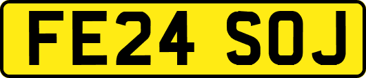 FE24SOJ