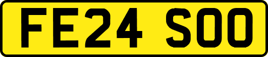 FE24SOO