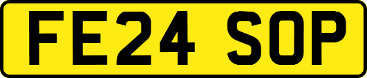FE24SOP