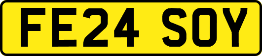 FE24SOY