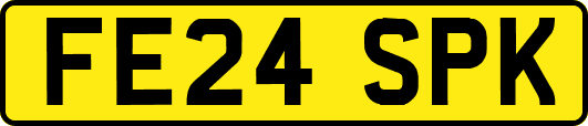 FE24SPK