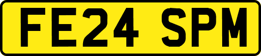 FE24SPM