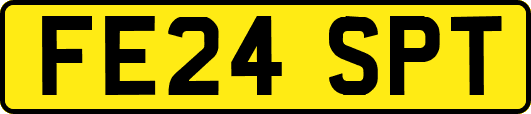 FE24SPT