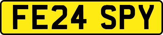 FE24SPY