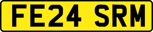 FE24SRM