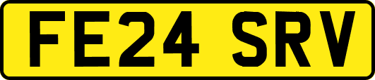 FE24SRV