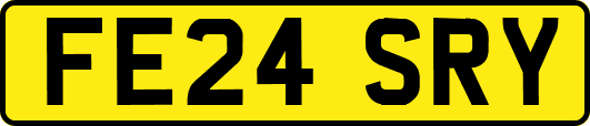 FE24SRY