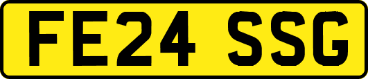 FE24SSG