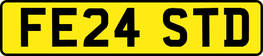 FE24STD