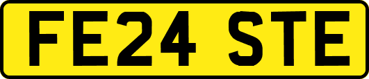 FE24STE