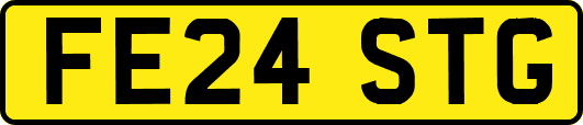 FE24STG