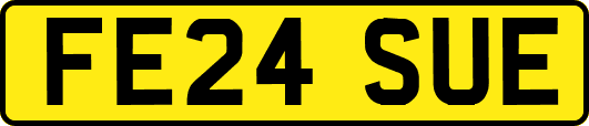 FE24SUE