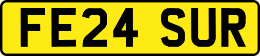 FE24SUR