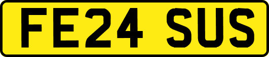 FE24SUS