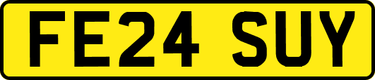 FE24SUY
