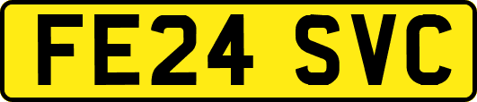 FE24SVC