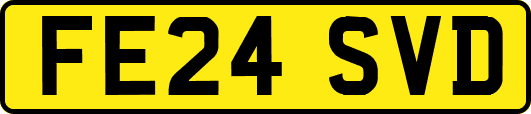 FE24SVD
