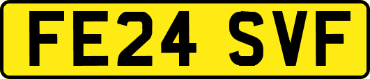 FE24SVF