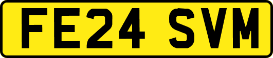 FE24SVM