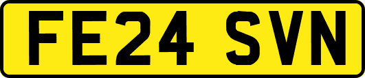 FE24SVN