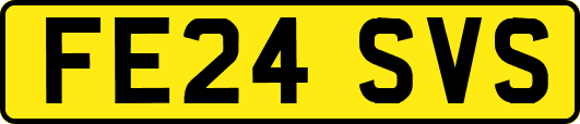 FE24SVS
