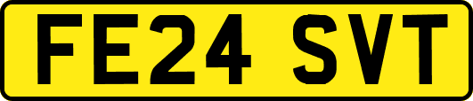 FE24SVT