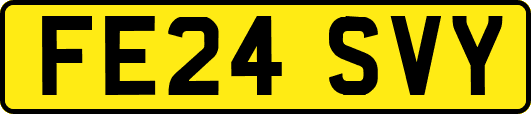 FE24SVY