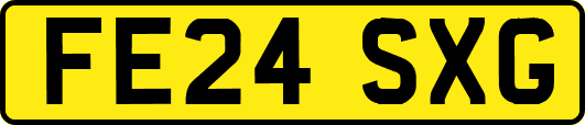 FE24SXG