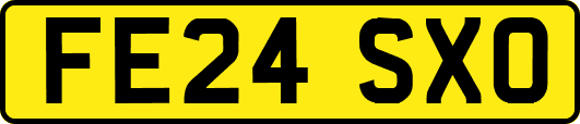 FE24SXO