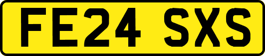 FE24SXS