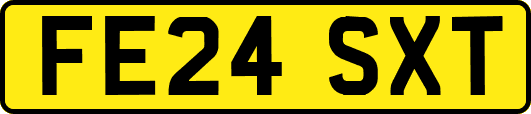FE24SXT
