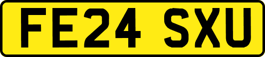 FE24SXU