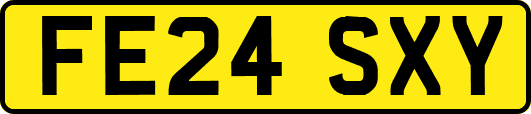 FE24SXY
