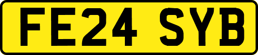FE24SYB