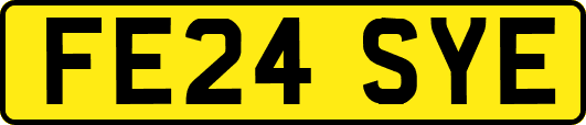 FE24SYE