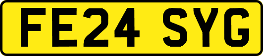FE24SYG