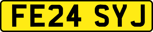 FE24SYJ