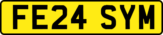 FE24SYM
