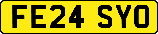 FE24SYO