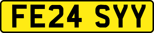 FE24SYY