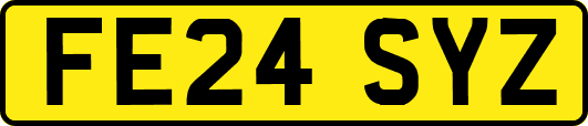 FE24SYZ