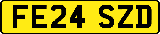FE24SZD