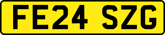 FE24SZG