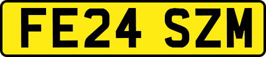 FE24SZM