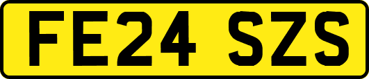 FE24SZS