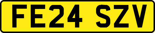 FE24SZV