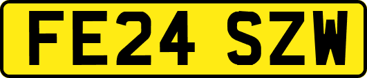 FE24SZW