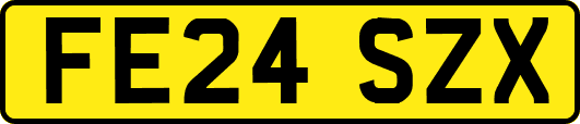 FE24SZX