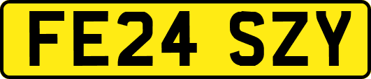 FE24SZY