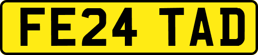 FE24TAD